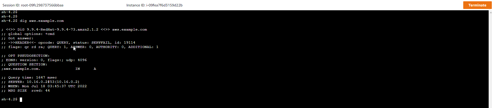 DNS Components Deployment