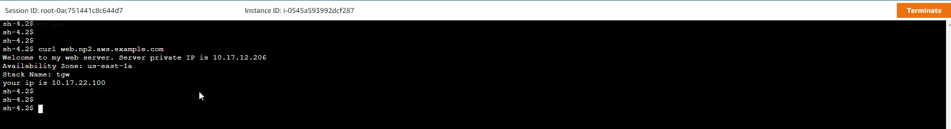 VPC Endpoint