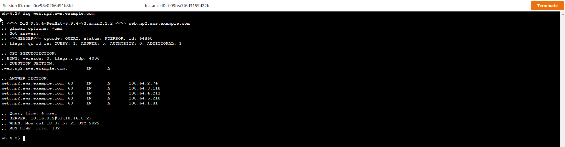 VPC Endpoint