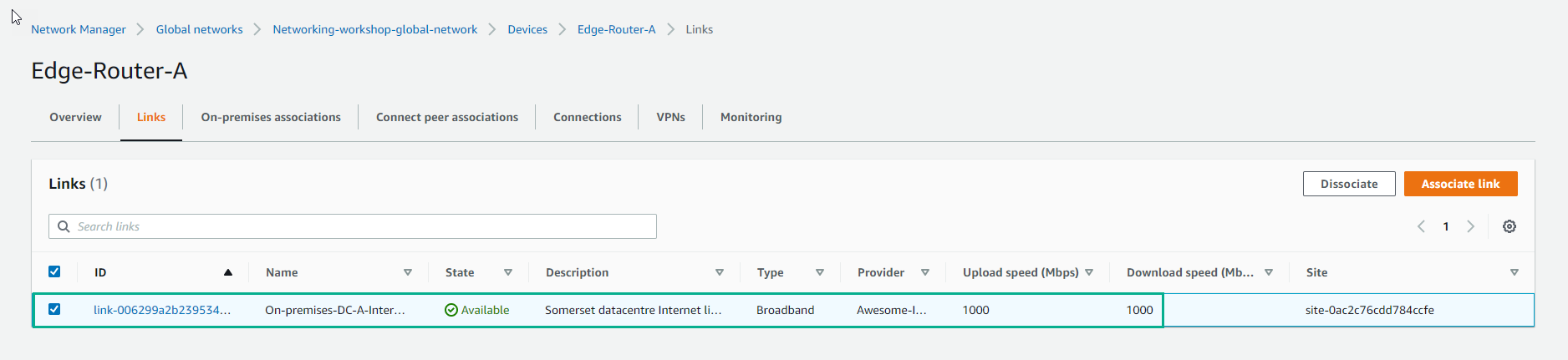Transit Gateway Network Manager