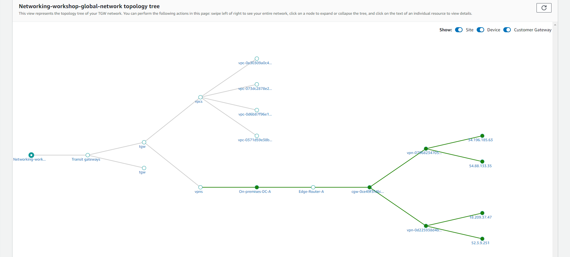Transit Gateway Network Manager